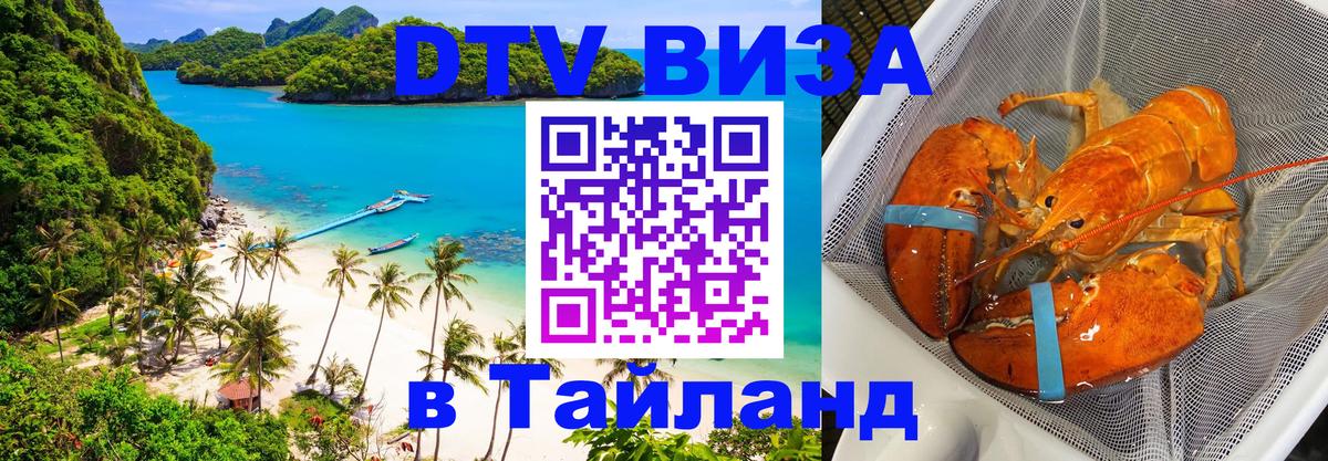 Сколько стоит DTV виза — актуальные цены, оформление даже без документов - Цхинвал  20.11.2025 